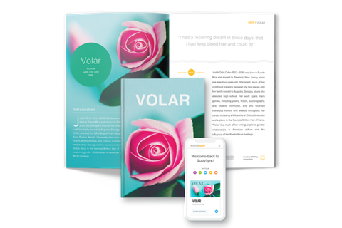 STUDYSYNC SUPPORT ENGLISH LANGUAGE LEARNER