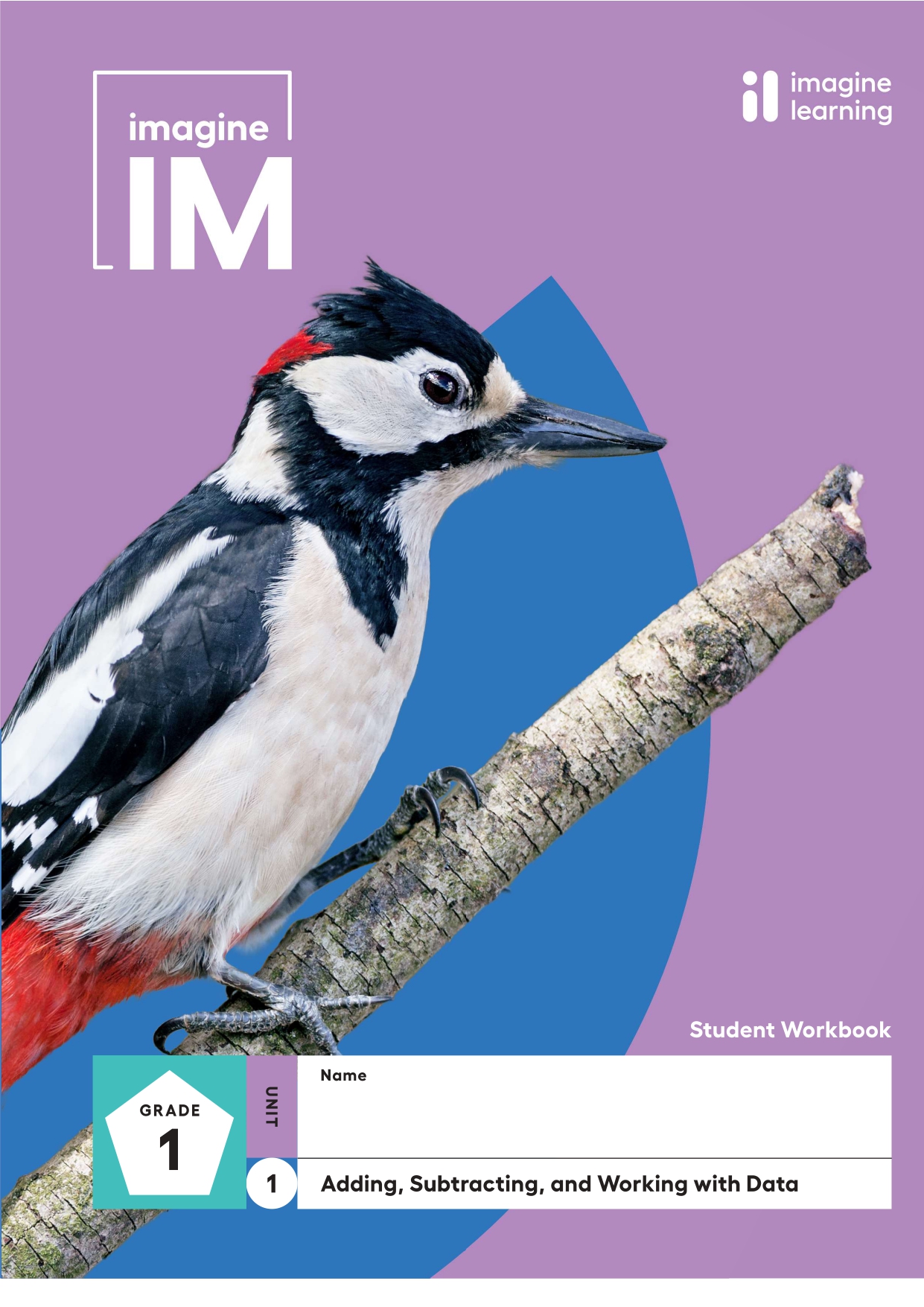 ImagineIM Student Workbook Grade 1 Sample